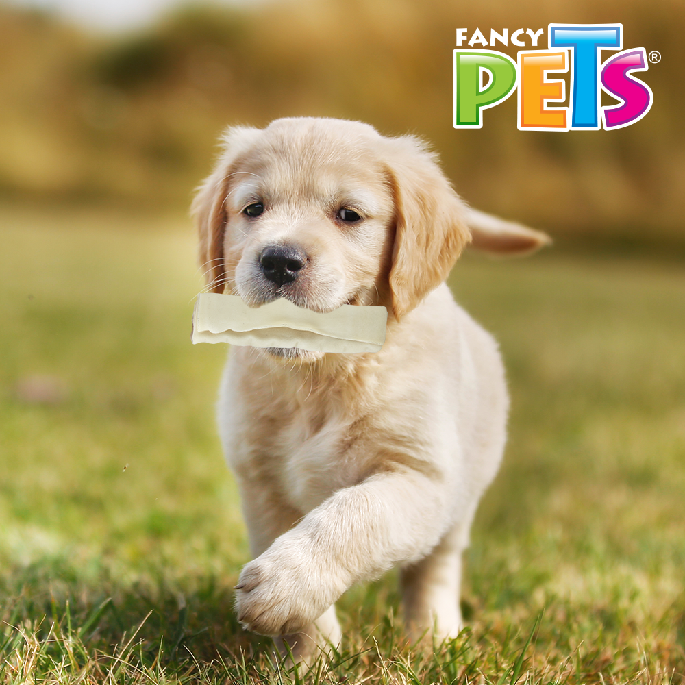Fancy Pets Rollo de Carnaza Natural 5-6 IN