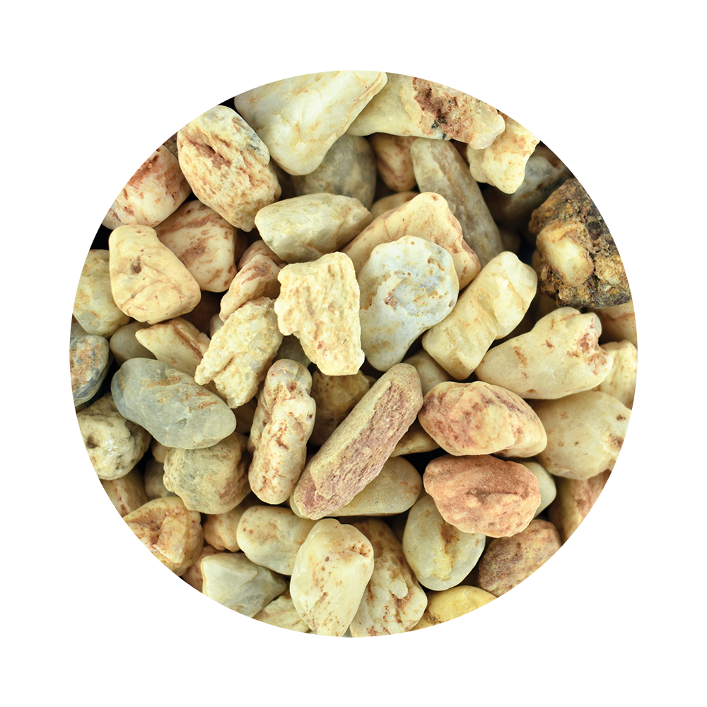 GRAVA PARA PECES 3 KG