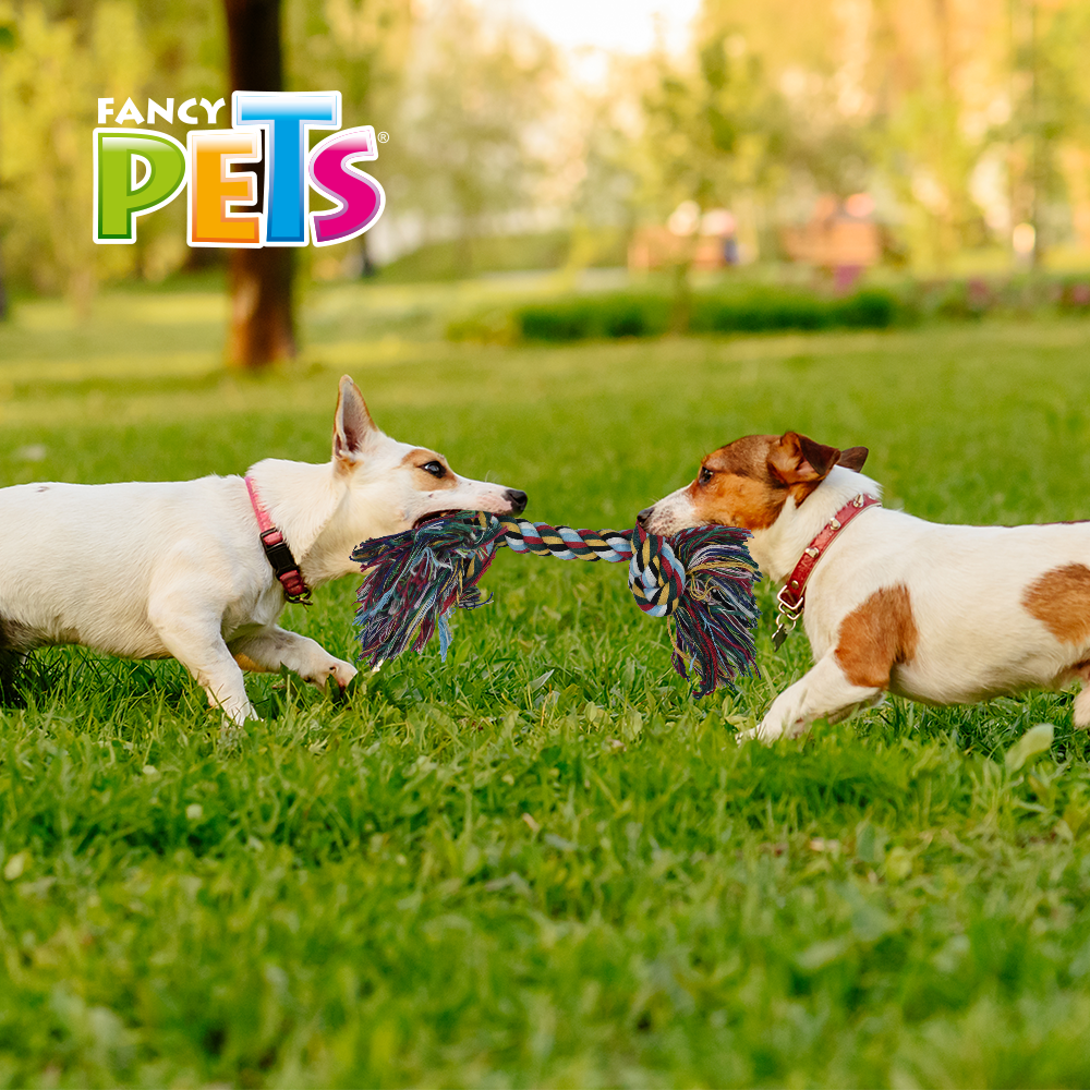 JUGUETE HUESO DE HILO MULTICOLOR