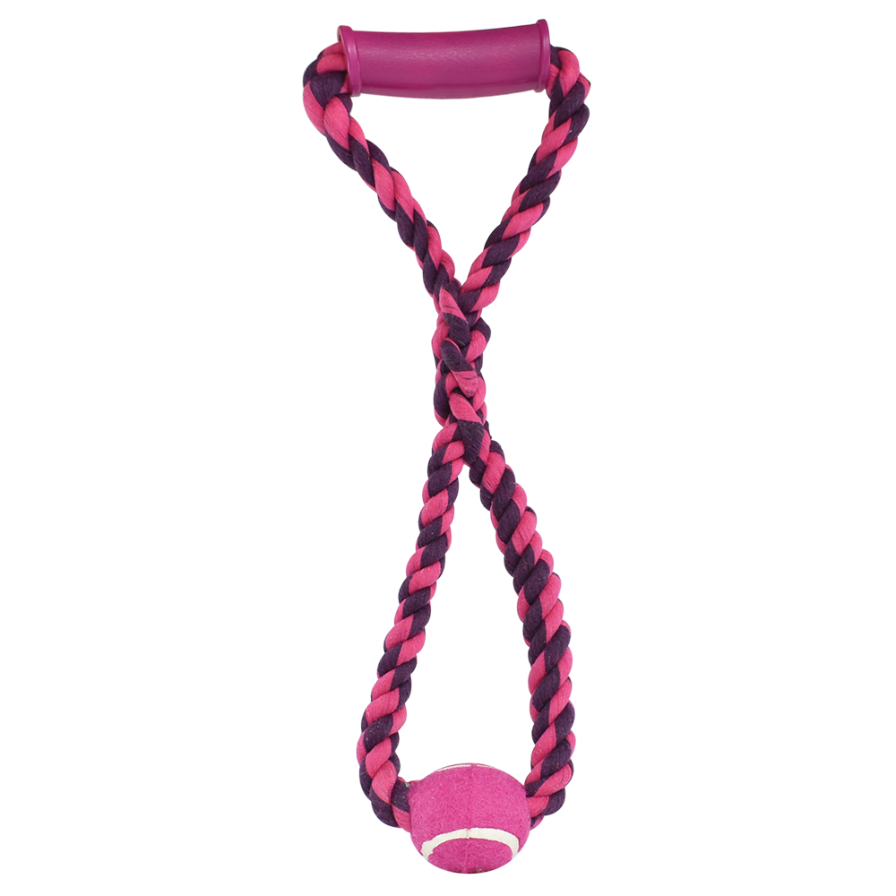 JUGUETE AGARRADERA Y ARO C/PELOTA