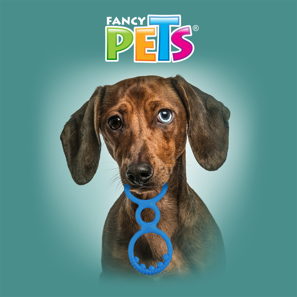 JUGUETE JALADERA DE CAUCHO C/ARGOLLA FANCY PETS