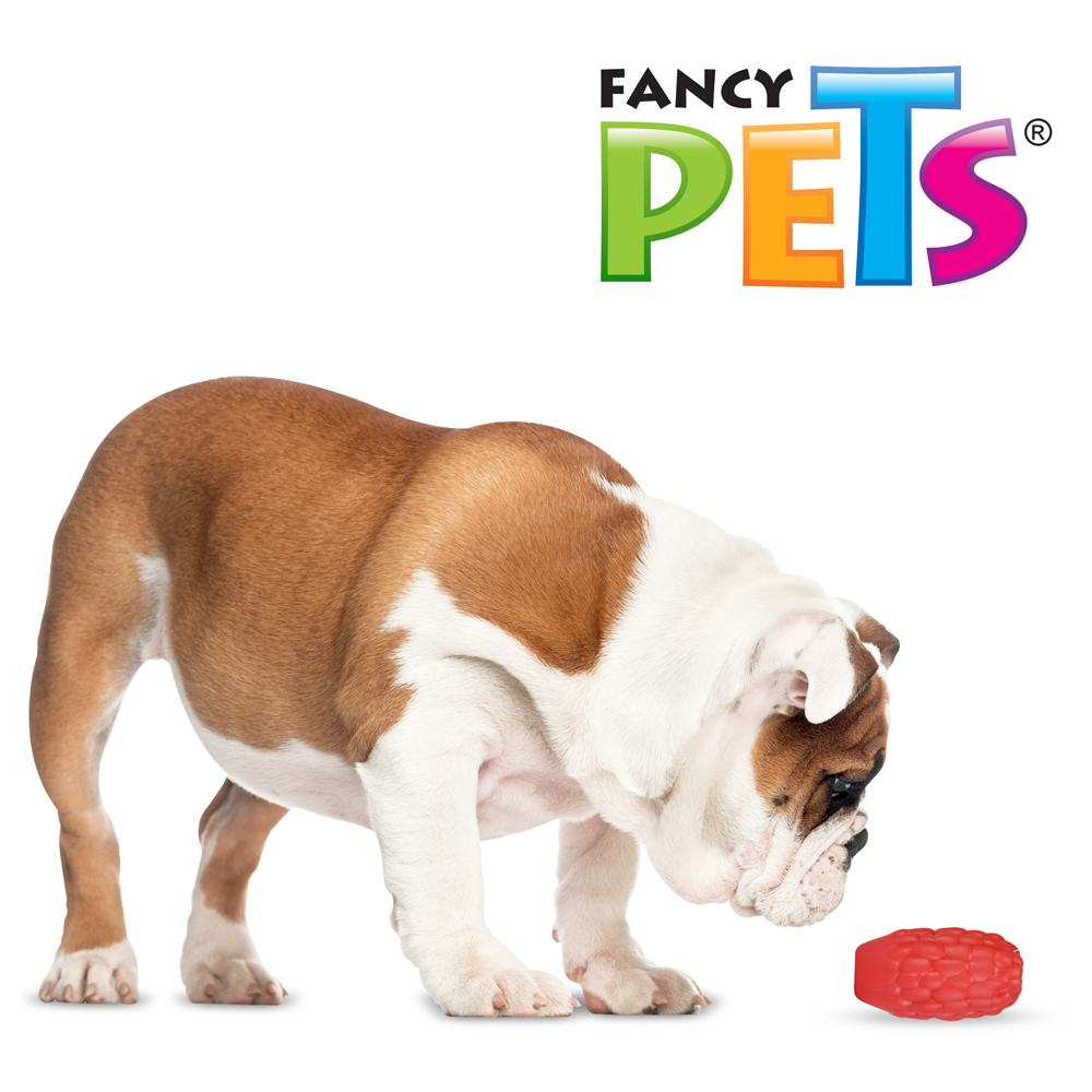 JUGUETE MAZORCA DE CAUCHO FANCY PETS