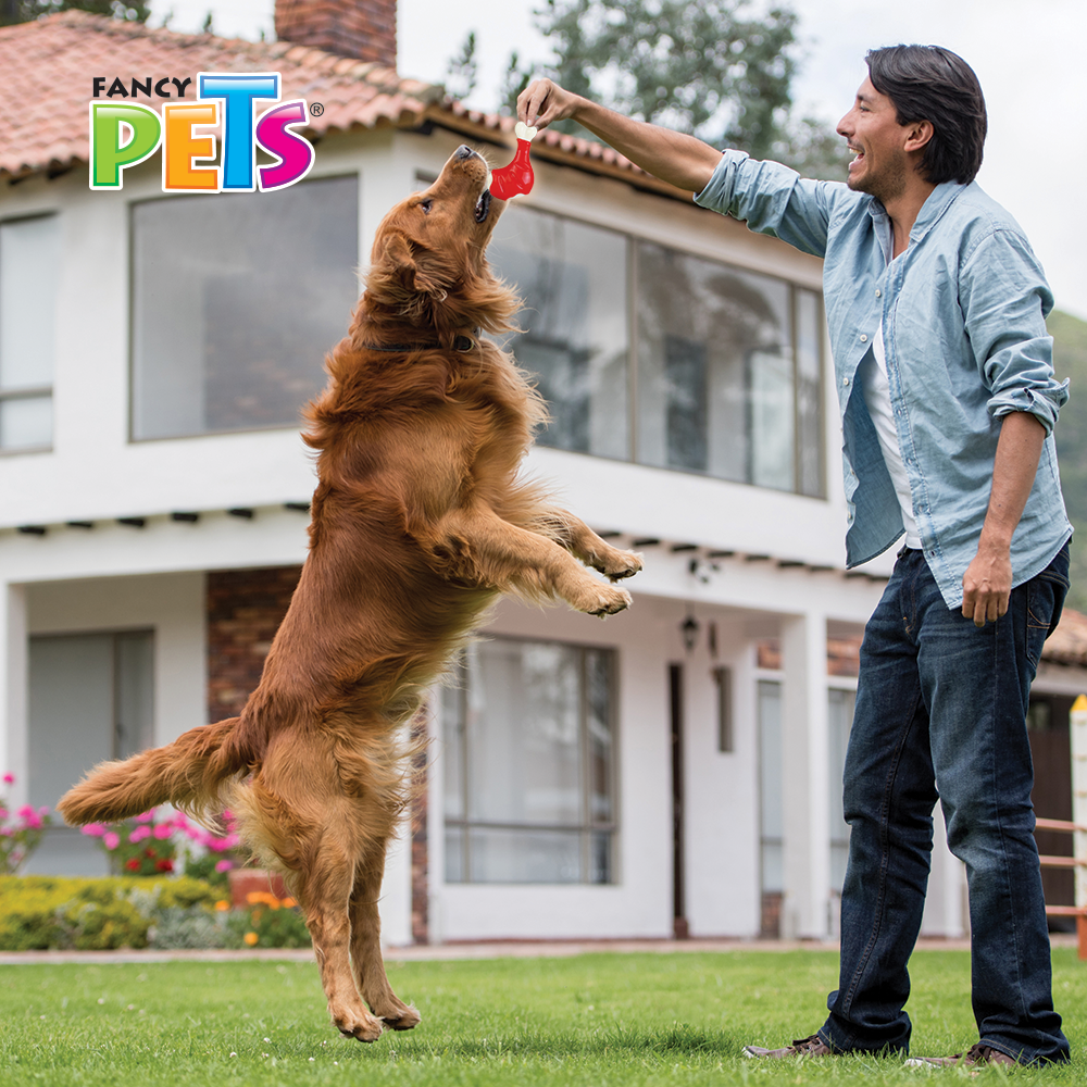 JUGUETE PIERNA SABOR POLLO FANCY PETS