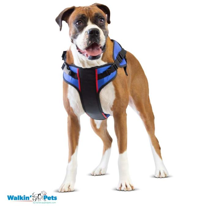 Walkin Pets Combo de arnés frontal Walkin' Lift con Dring & Clips