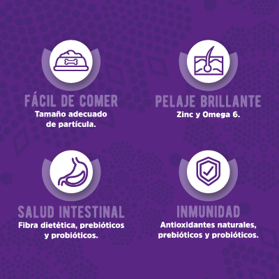 KANTEK- Adulto Razas Pequeñas