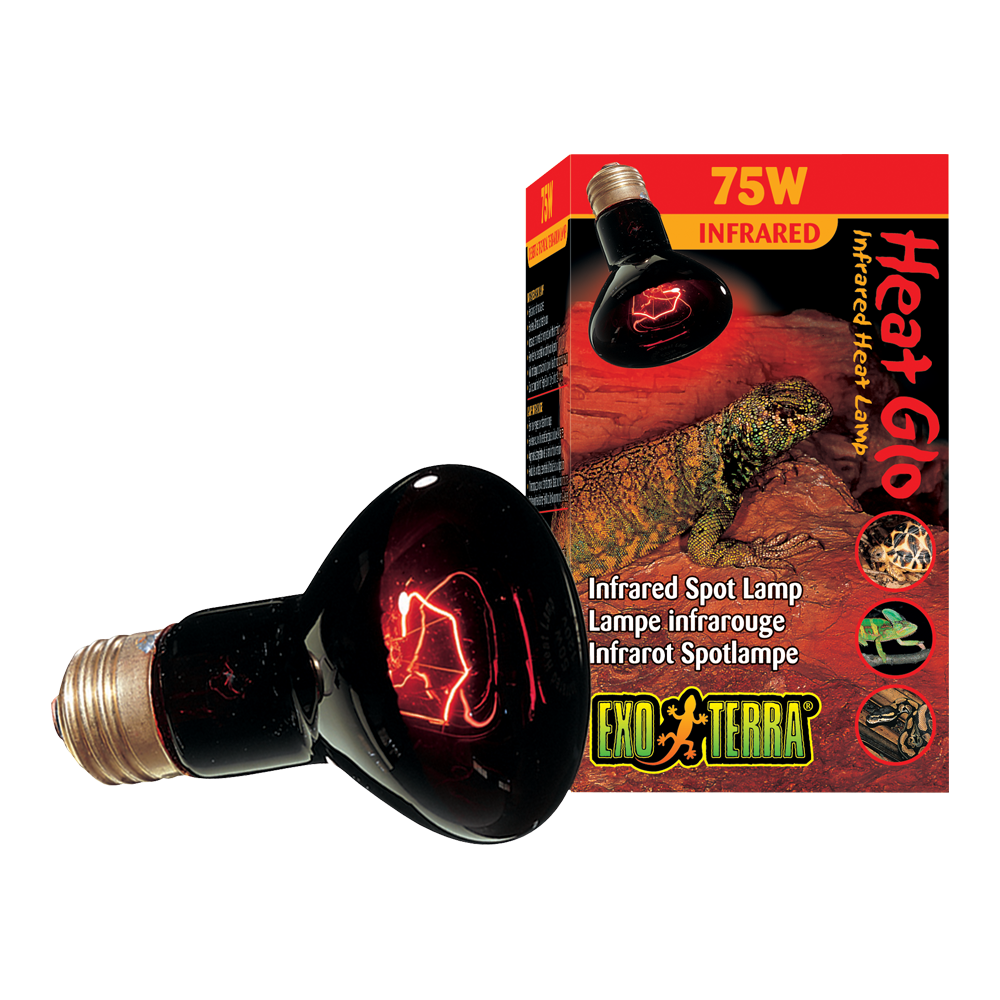 FOCO HEAT GLO EXO-TERRA HAGEN