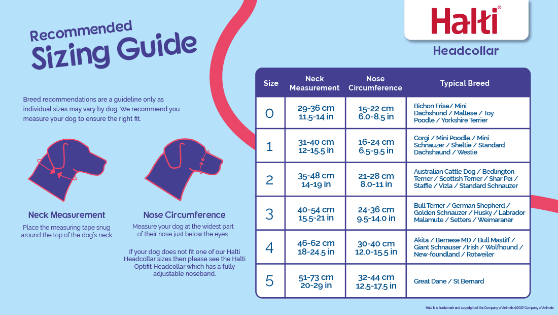 HALTI Bozal Antitirones Rojo