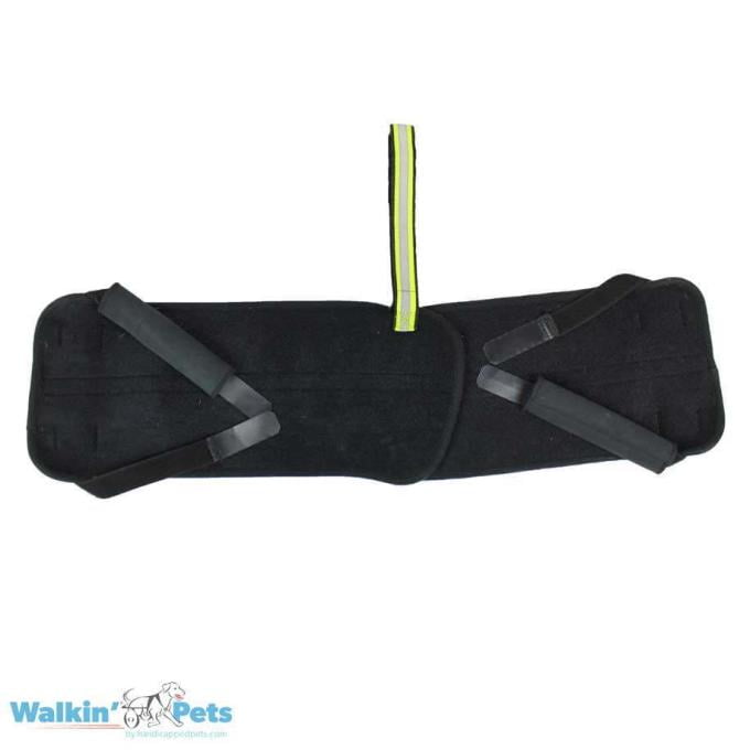 Walkin Pets Hip-EEZ Base-Sistema de Soporte para Articulación de Cadera