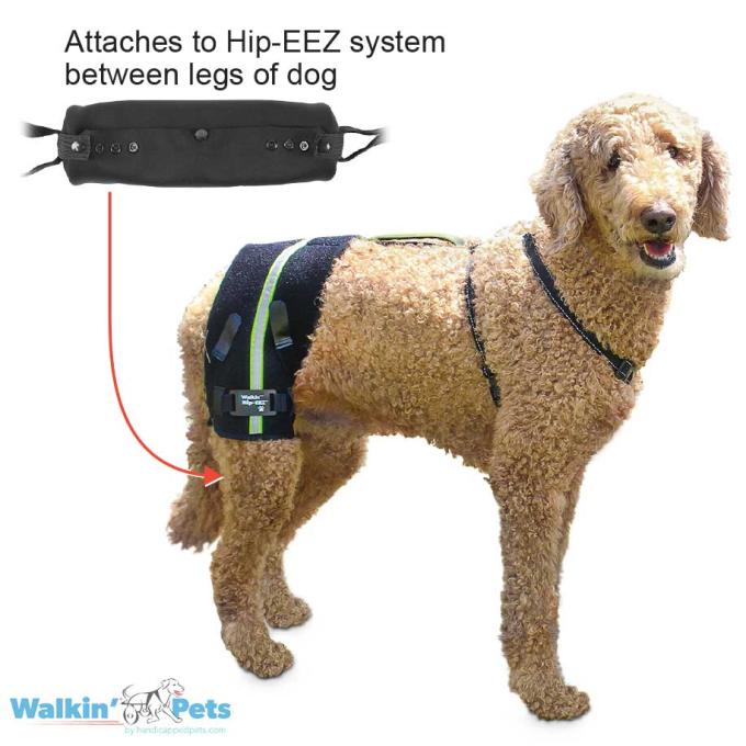 Walkin Pets Hip-EEZ, Cross Assist para perros que cruzan las patas traseras
