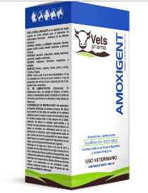 AMOXIGENT - VETS PHARMA