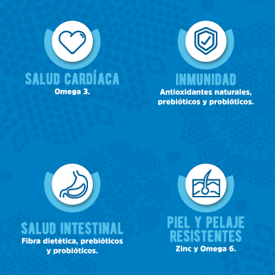 KANTEK Adulto - Alimento para Perro Super Premium