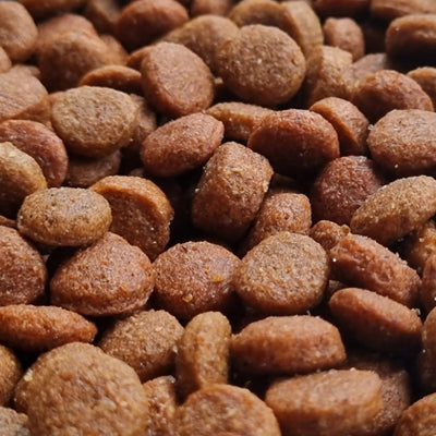 KANTEK Adulto - Alimento para Perro Super Premium