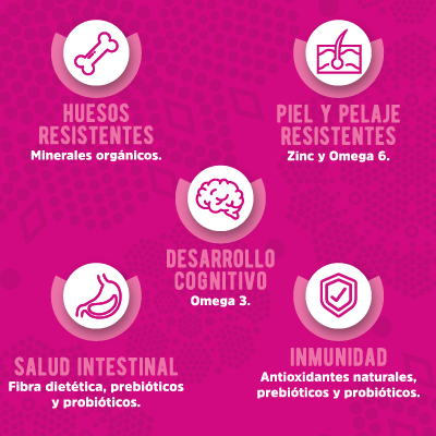 KANTEK Cachorro-Alimento para Perro Super Premiun