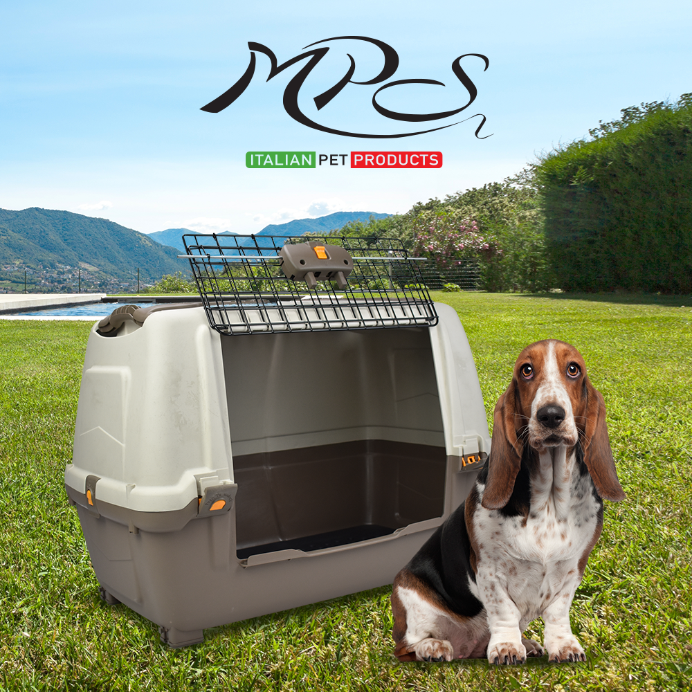 Transportadora Skudo IATA