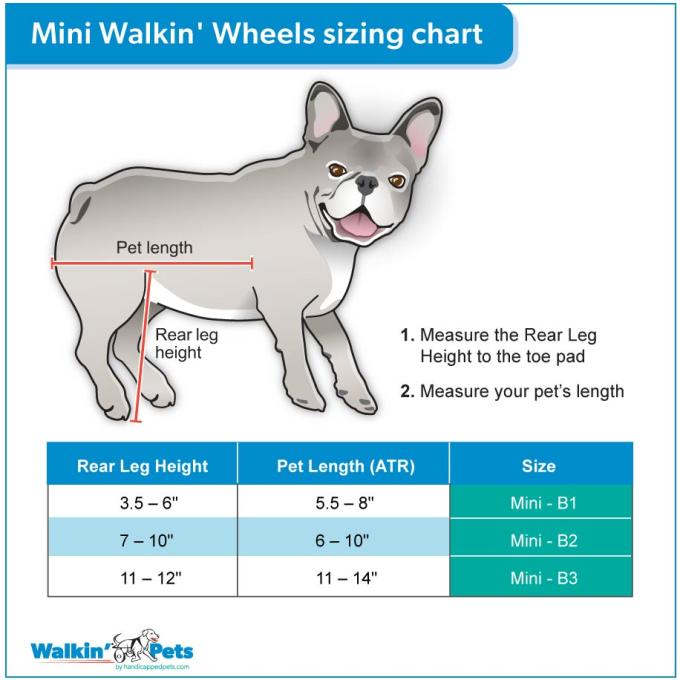 Walkin Pets Silla de Ruedas Perro Mini