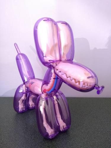 4D Modelo anatomico para armar, perro en forma de globo morado