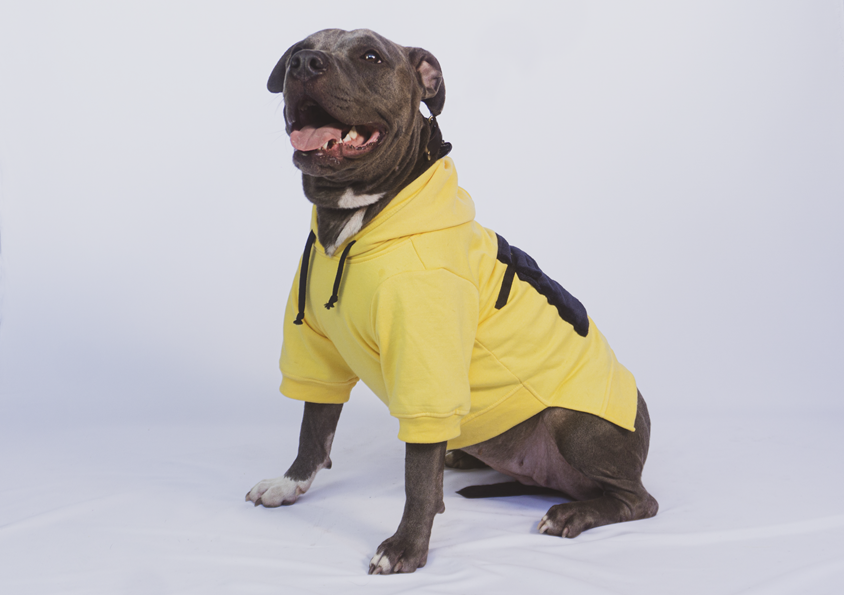Urbandog Sudadera Mowgli