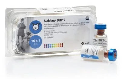 MSD Nobivac DHPPi + Solvente (10 dosis)