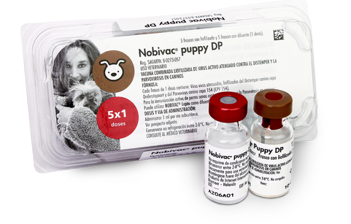 NOBIVAC PUPPY DP - MSD