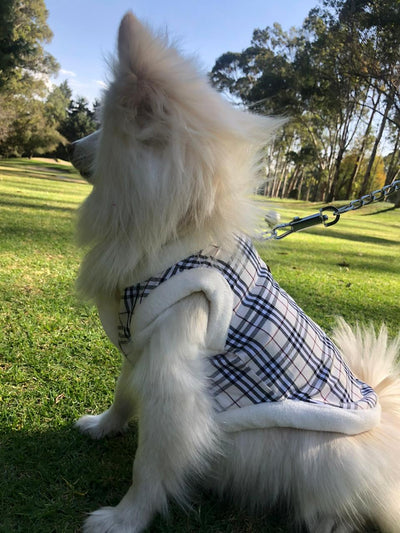 Paw Pets- Arnés Burberry