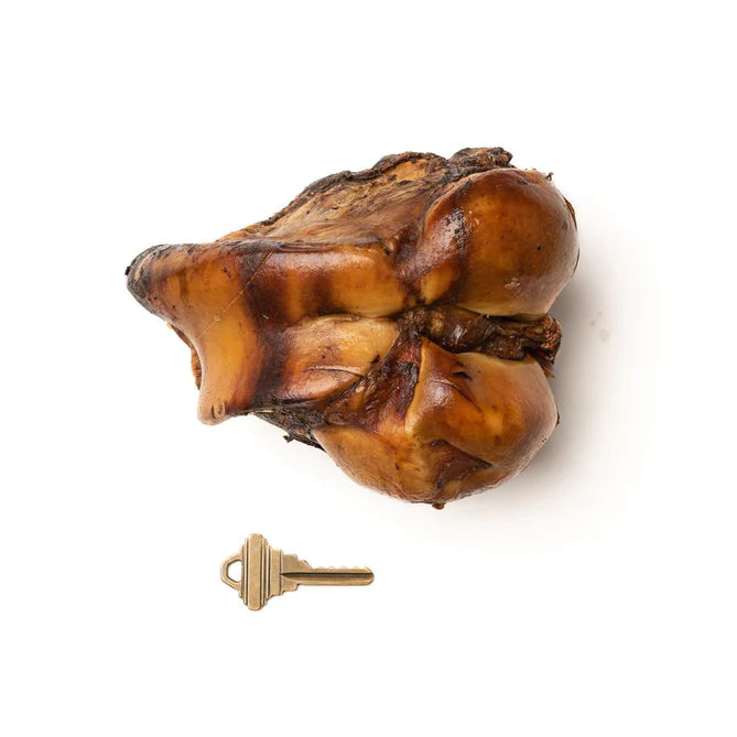 JUMBO JAWBRAKERS - PETSTAR