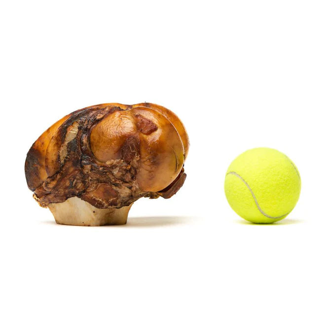 JUMBO JAWBRAKERS - PETSTAR