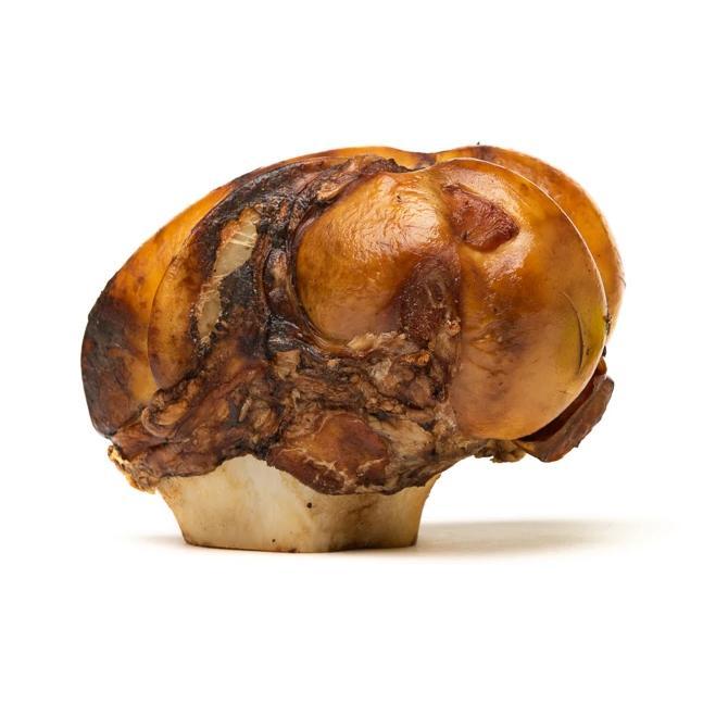 JUMBO JAWBRAKERS - PETSTAR