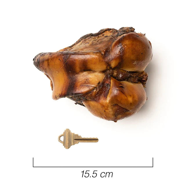 JUMBO JAWBRAKERS - PETSTAR