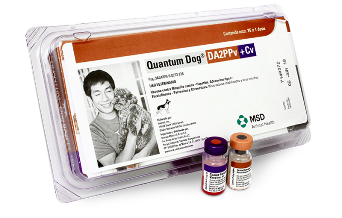MSD Quantum Dog DA2PPv+Cv