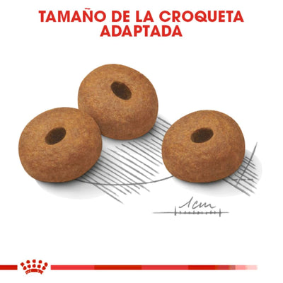 Weight Control Large Dog -Royal Canin