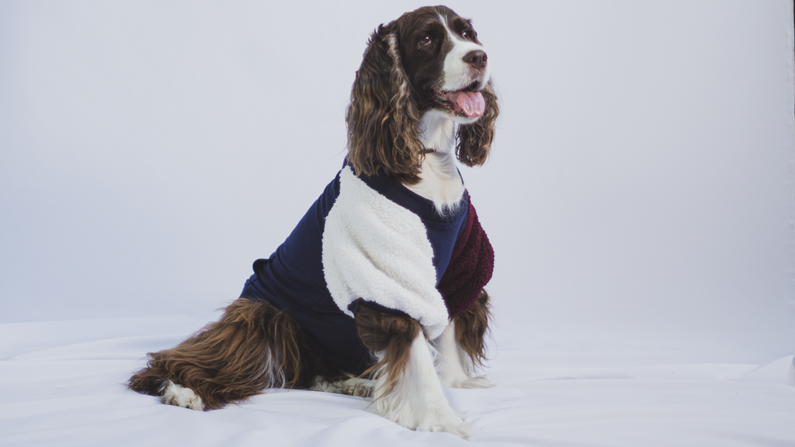 Urbandog Sudadera Raksha