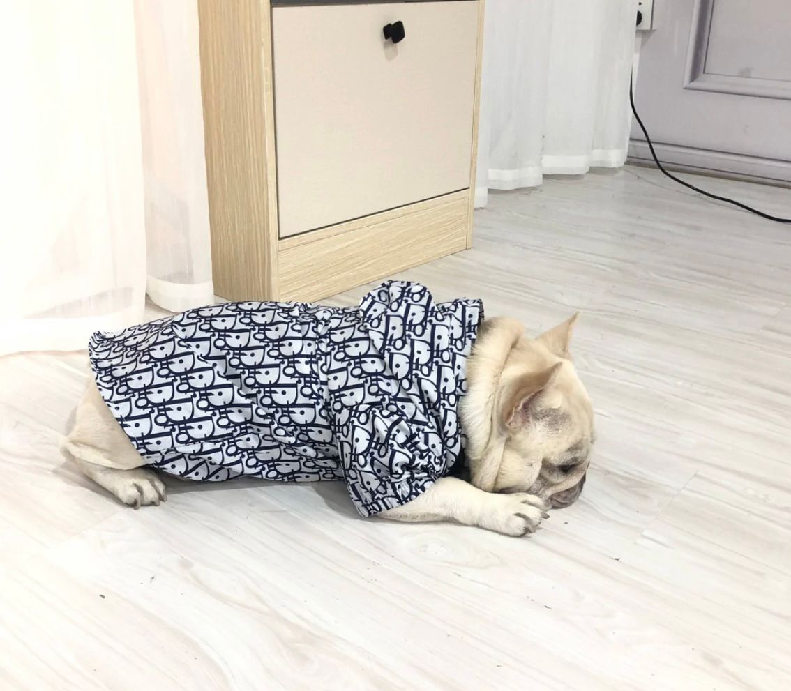 Paw Pets- Impermeable Dior
