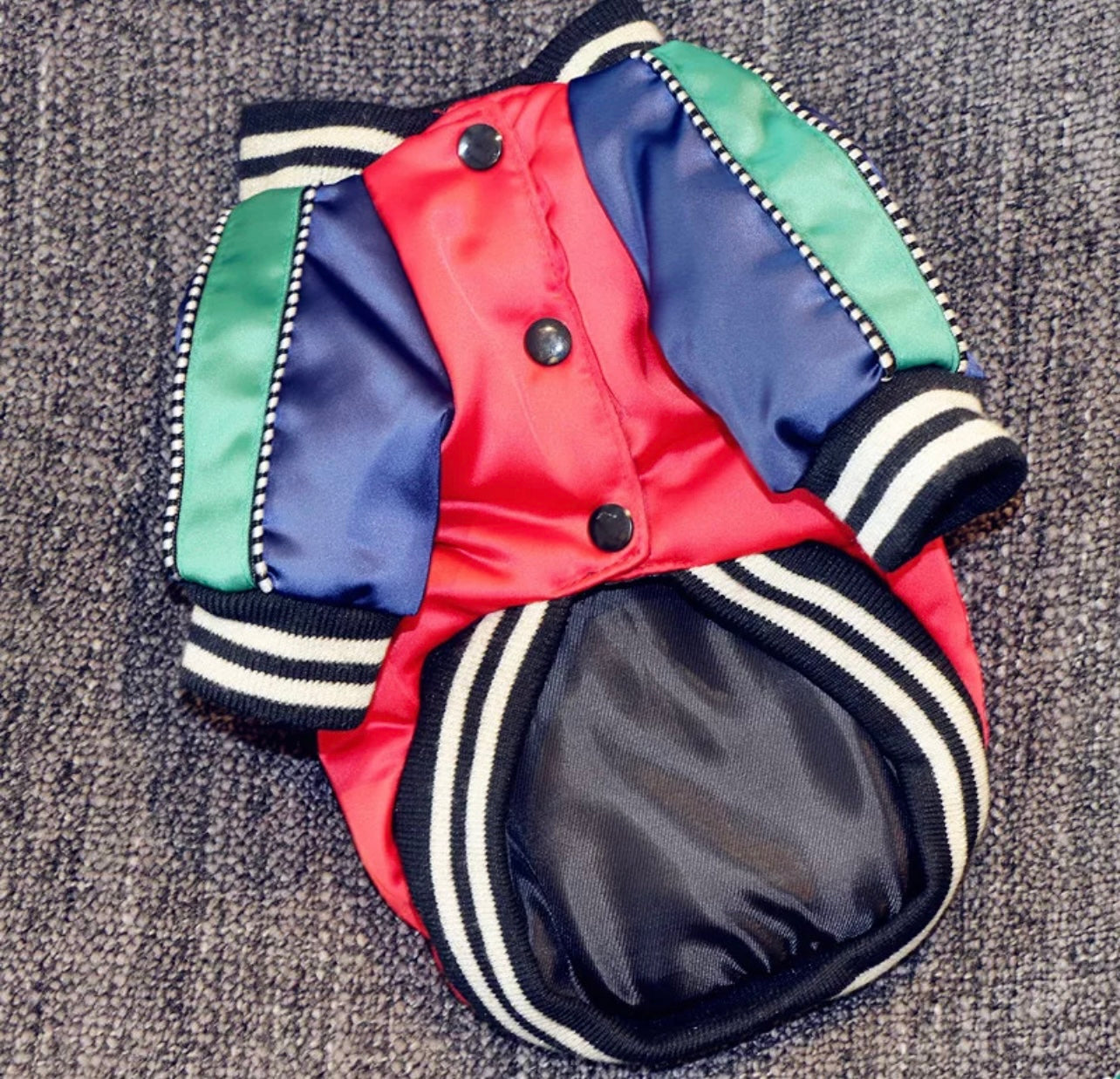 Paw Pets - Chamara Gucci Roja