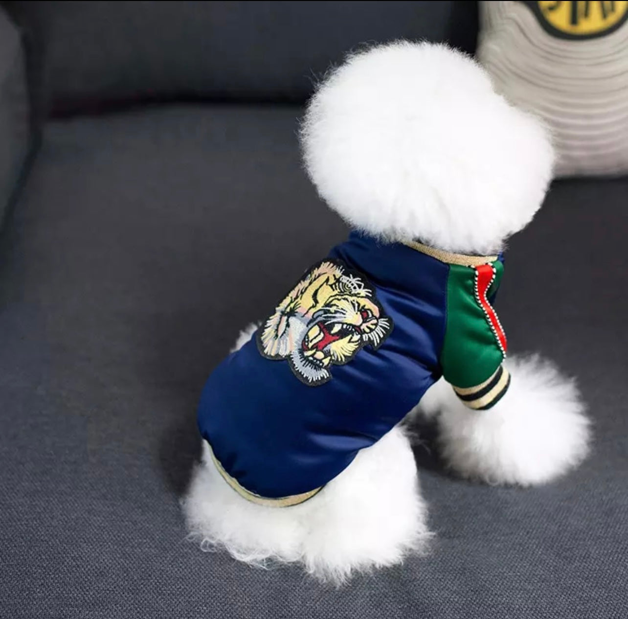 Paw Pets- Chamarra Gucci Azul