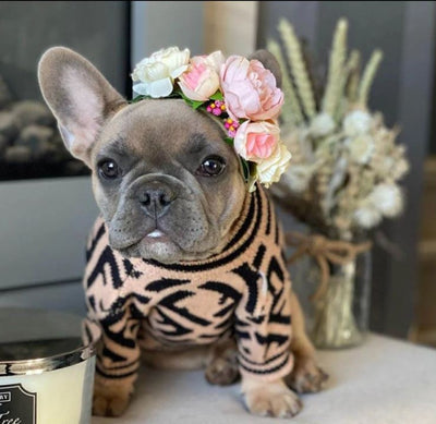 Paw Pets- Suéter Fendi