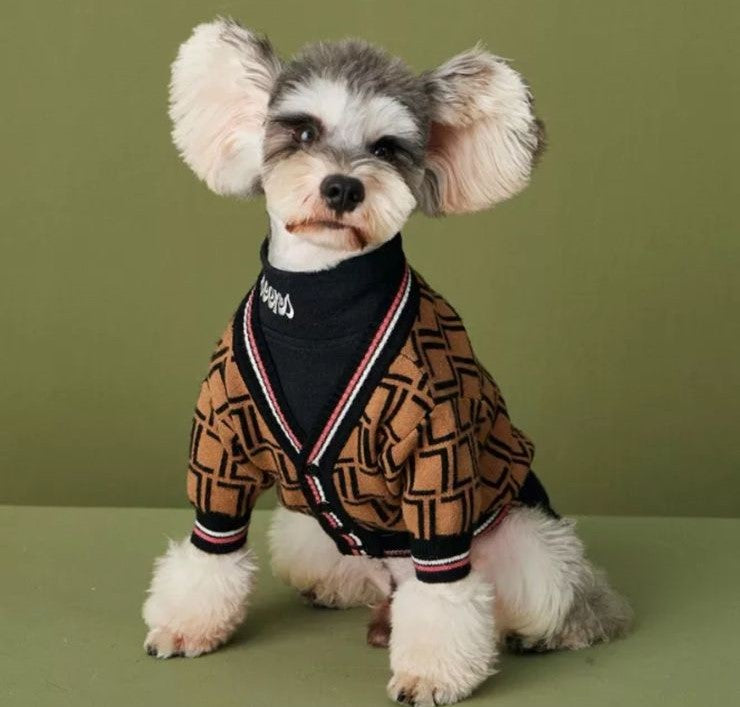 Paw Pets-Suéter Fendi