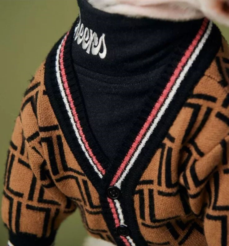 Paw Pets-Suéter Fendi