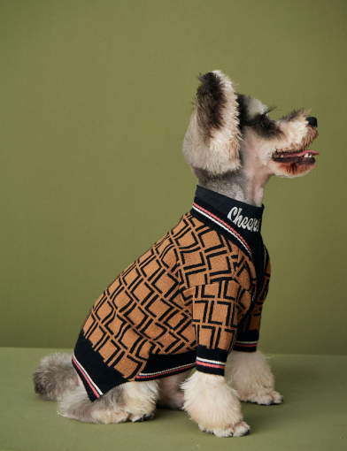 Paw Pets-Suéter Fendi