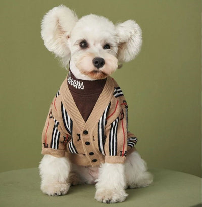 Paw Pets- Suéter Burberry