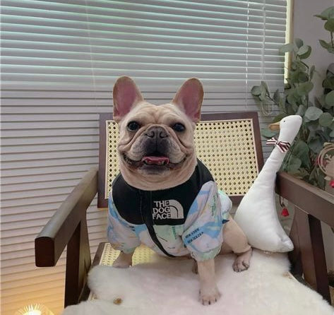 Paw Pet- Chamarra The Good Dog