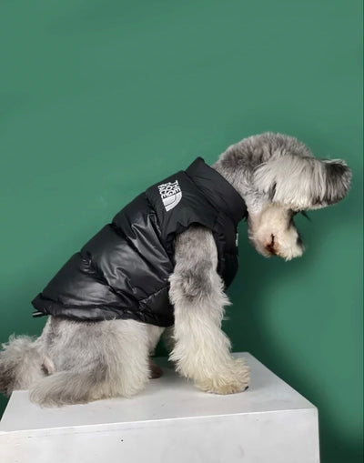 Paw Pets-Chaleco The Dog Face