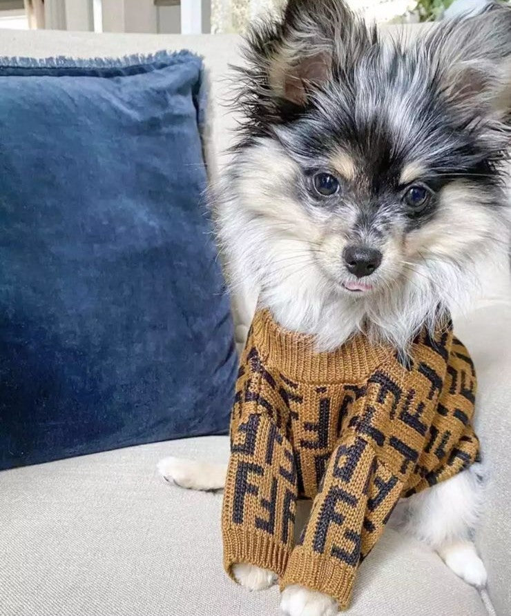 Paw Pets- Suéter Fendi