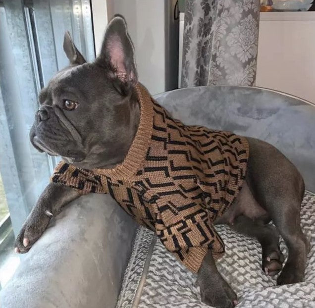 Paw Pets- Suéter Fendi