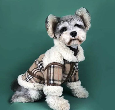 Paw Pets- Chamarra Burberry