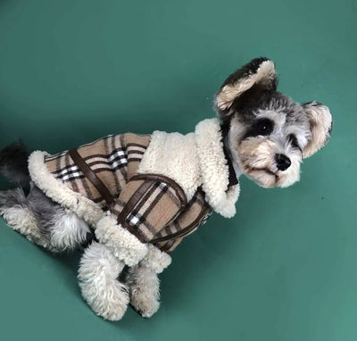 Paw Pets- Chamarra Burberry