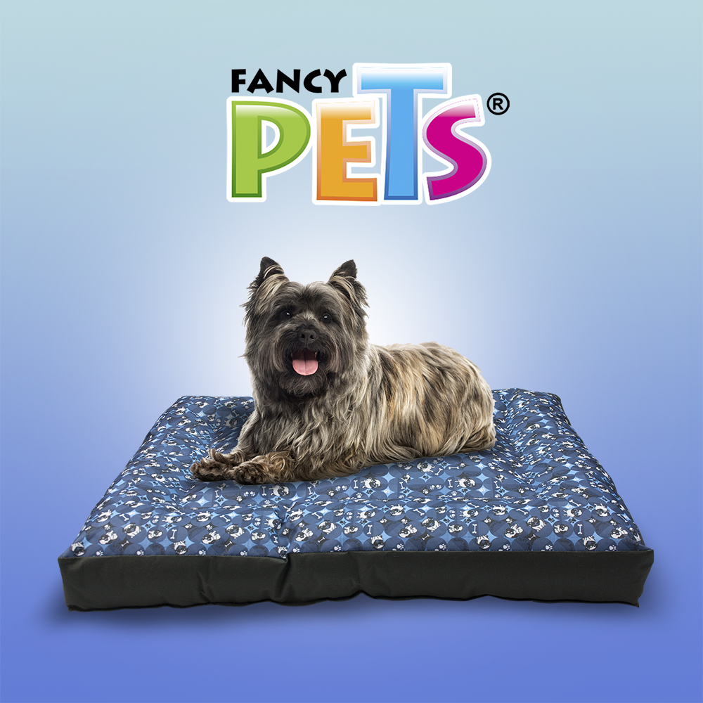 COLCHONETA BUGGIE BLUE FANCYPETS