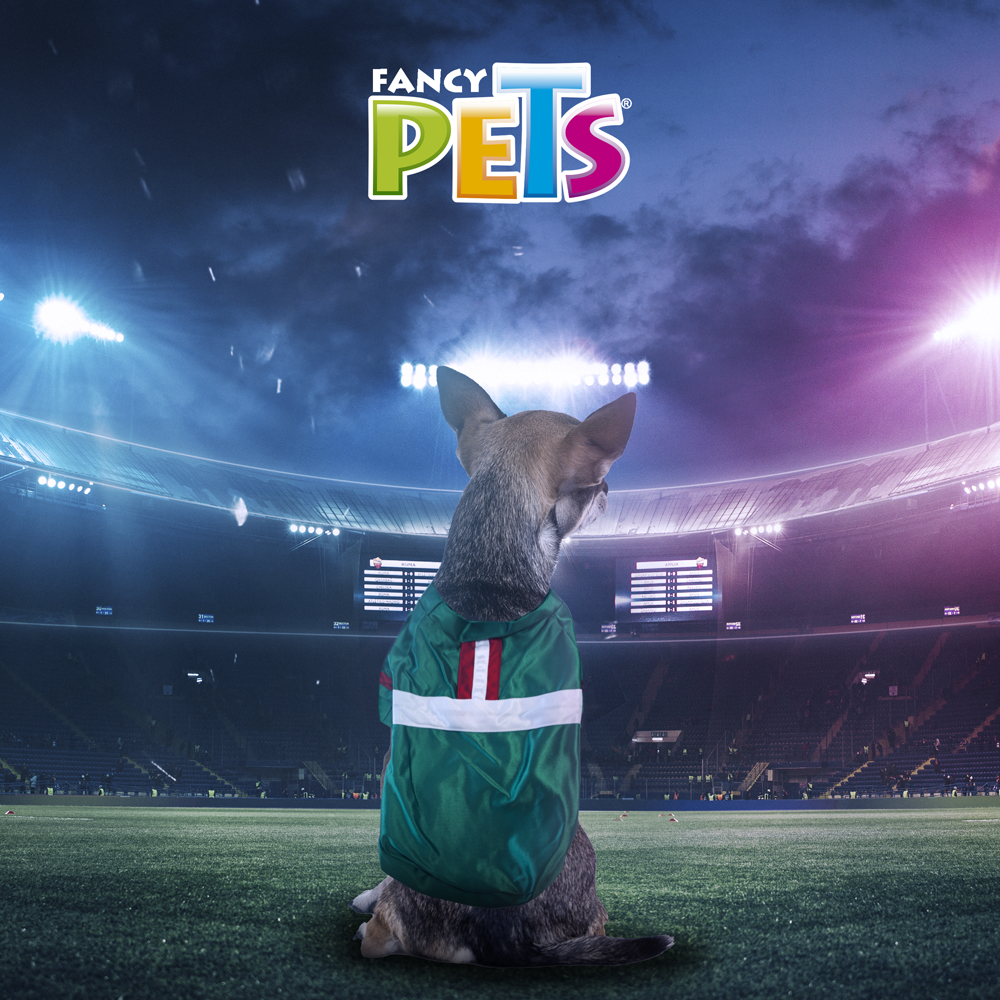 PLAYERA SOCCER BANDERA FANCYPETS