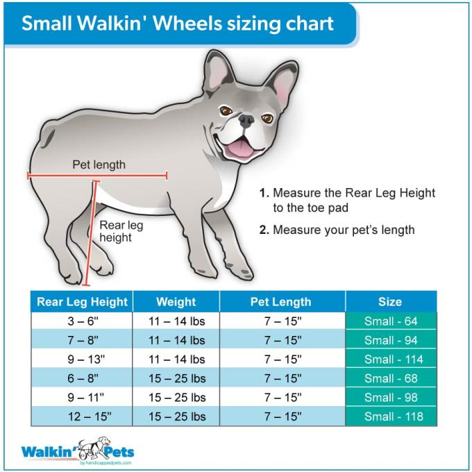 Walkin Pets Silla de Ruedas Azul Chica con puntales y ruedas rellenas de espuma