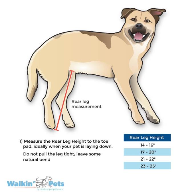 Walkin Pets Silla de Ruedas Azul Mediana/Grande con puntales y ruedas rellenas de espuma