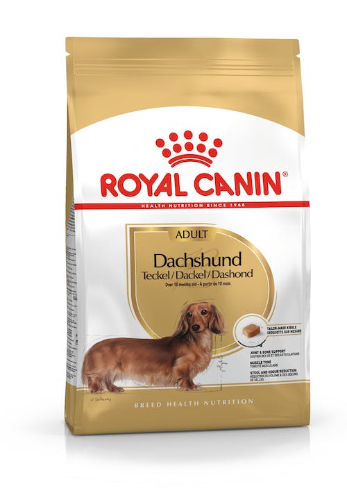 Royal Canin Dachshund Adulto